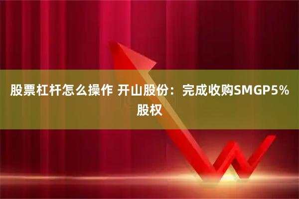 股票杠杆怎么操作 开山股份：完成收购SMGP5%股权
