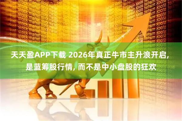 天天盈APP下载 2026年真正牛市主升浪开启, 是蓝筹股行情, 而不是中小盘股的狂欢